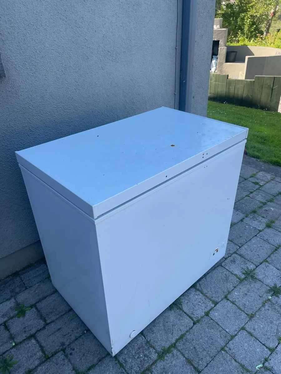 Freezer - Image 1