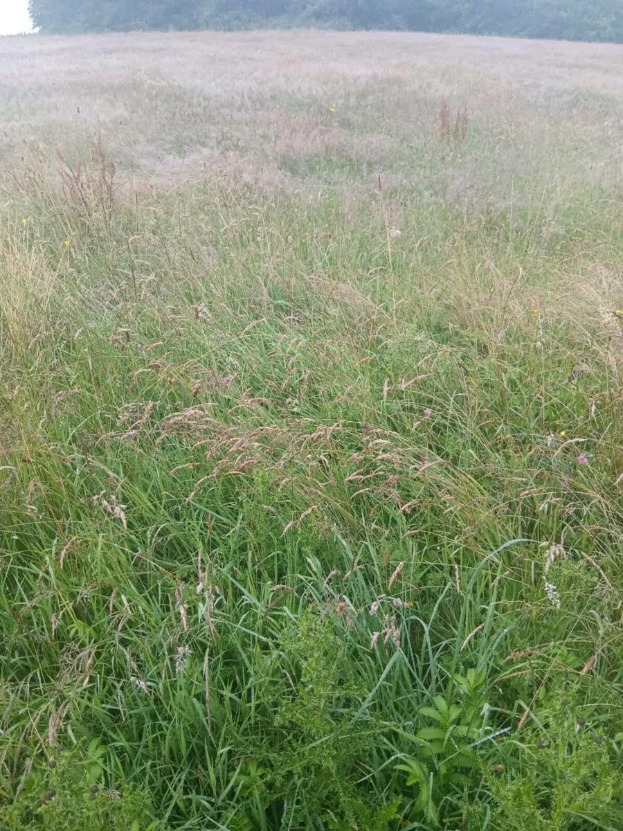 bales - Image 2