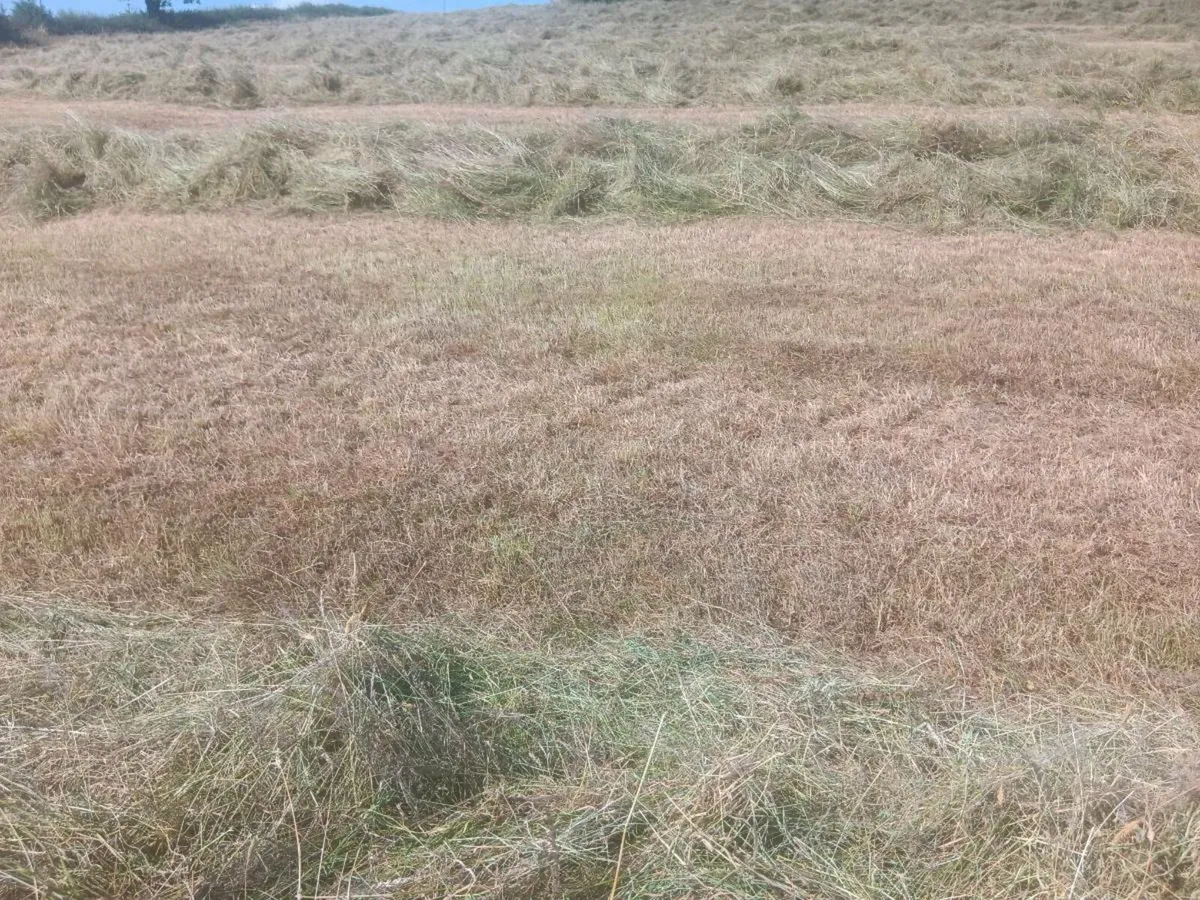 bales - Image 3