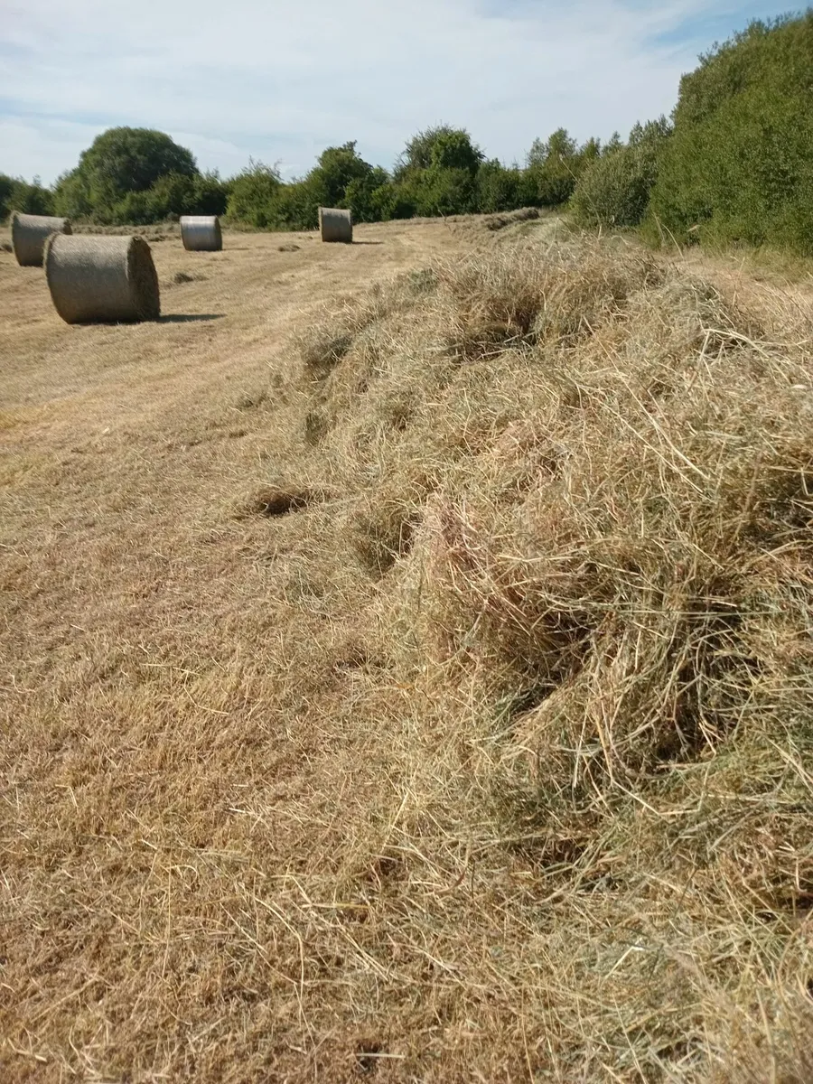 Top Quality  Big Bales of Hay - Image 1
