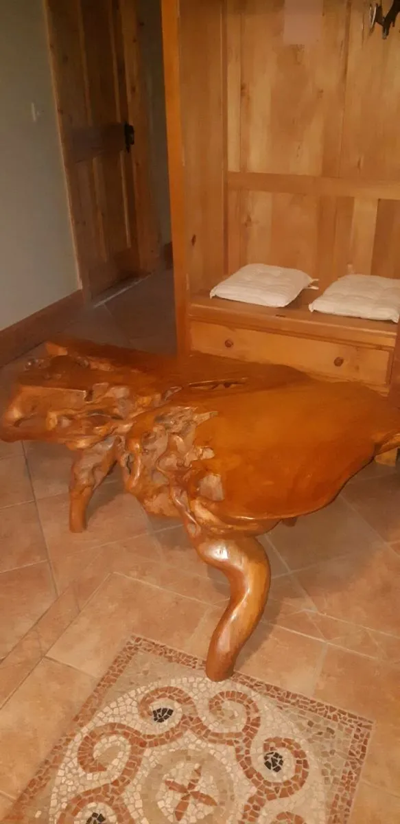 Root chair & coffee table - Image 3