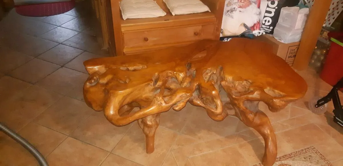 Root chair & coffee table - Image 4