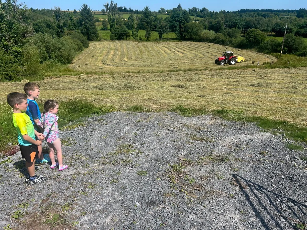 Square bails of hay - Image 3