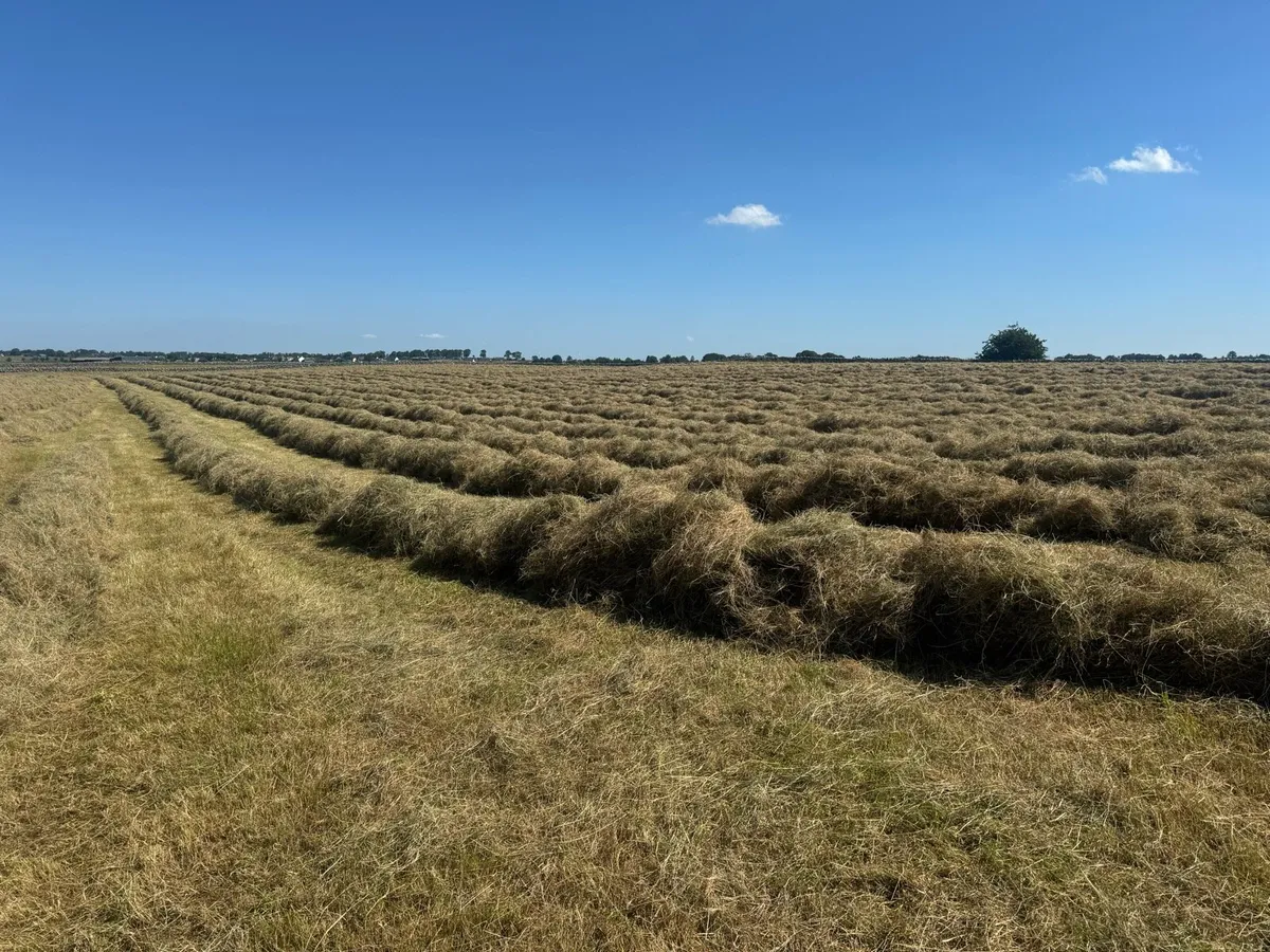 Square Bales - Image 1