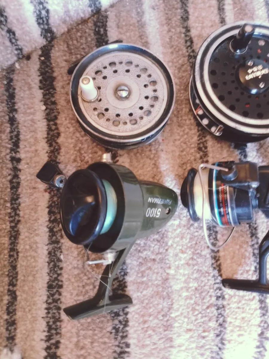 Fishing - Image 2