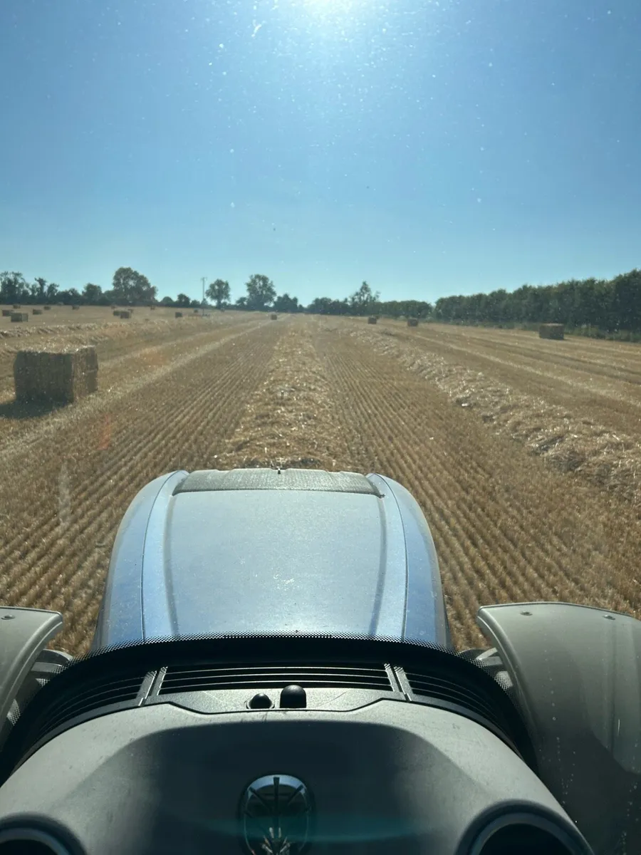 2025 straw - Image 2