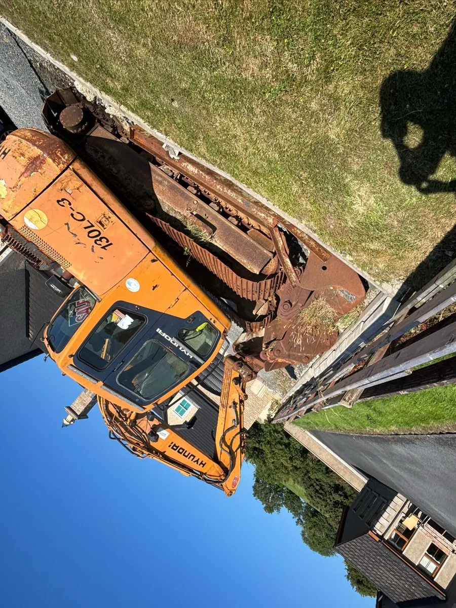 13 ton Digger - Image 1