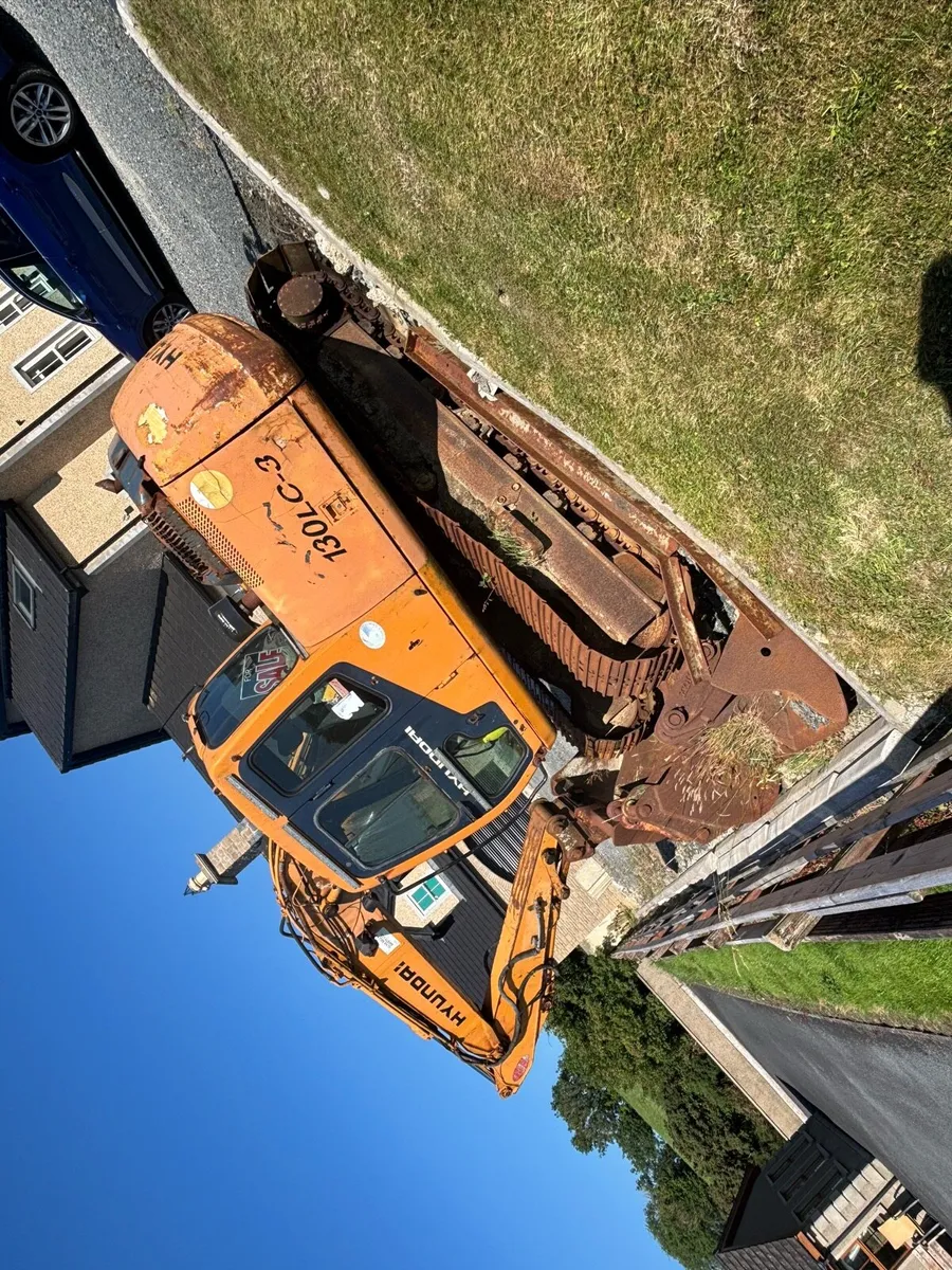 13 ton Digger - Image 2