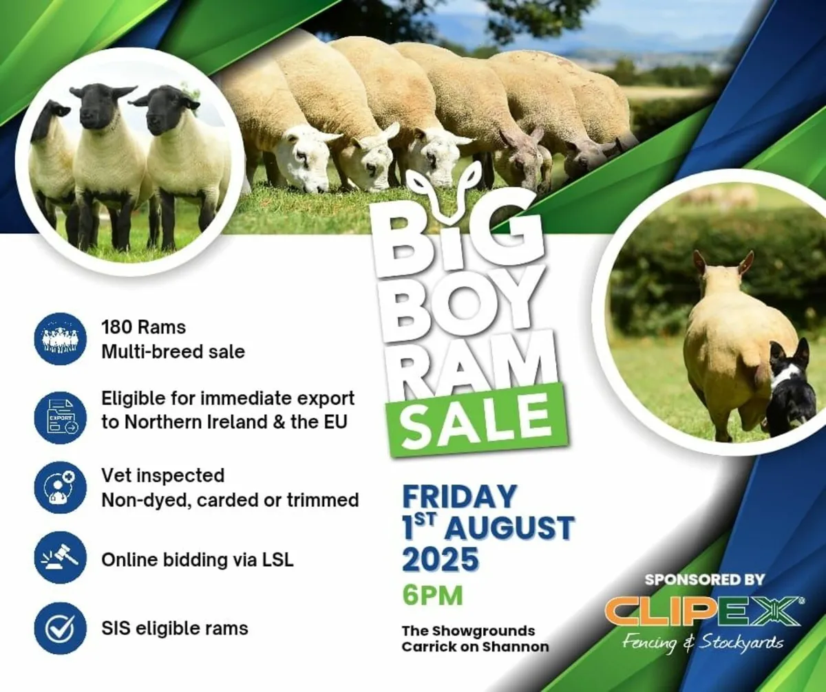 The Big Boy Ram Sale 25 - Image 1