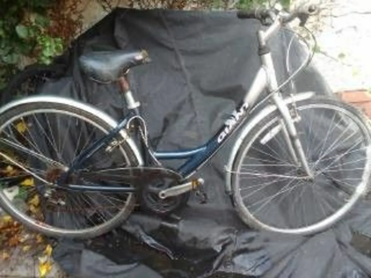 adult bike for sale