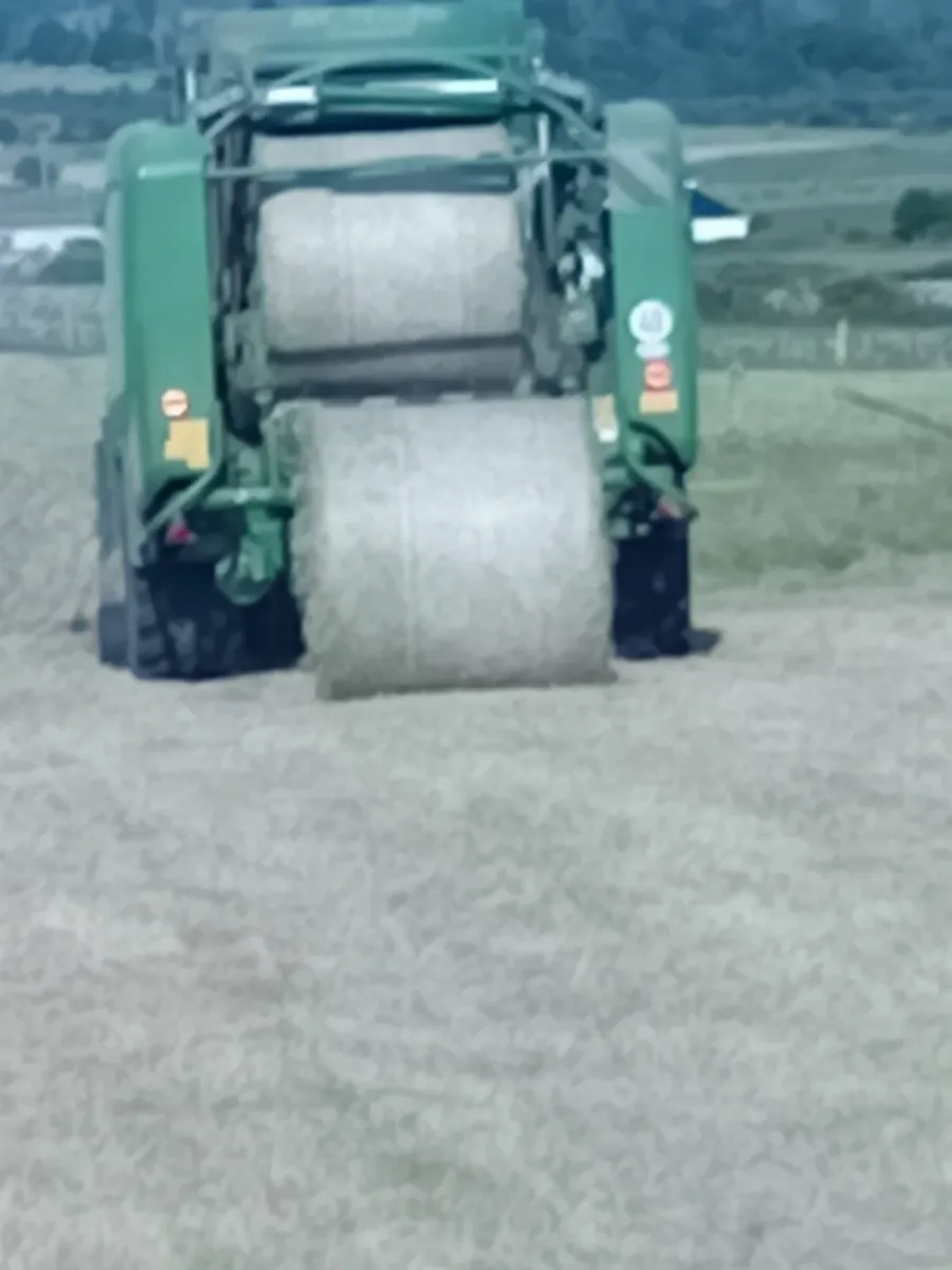Hay - Image 2