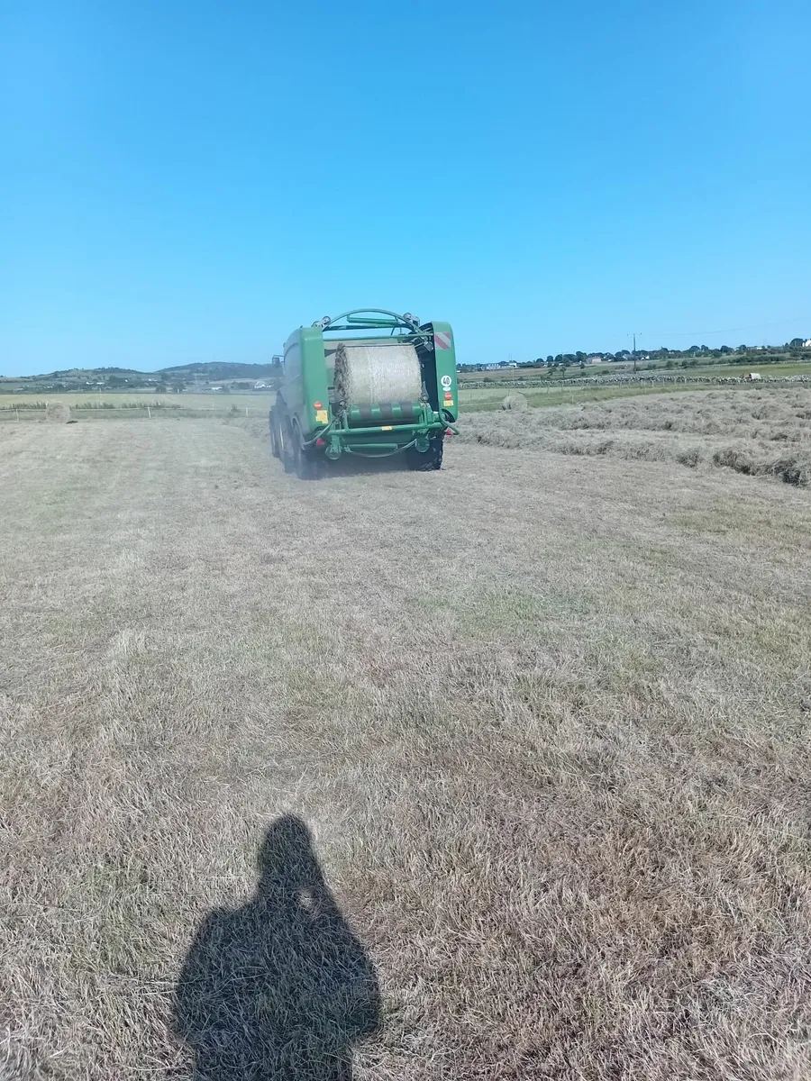 Hay - Image 3