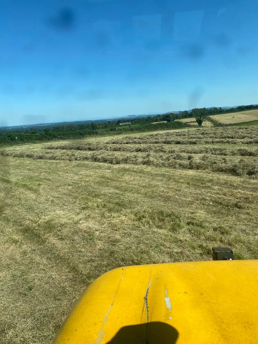 🕖Hay for sale - Image 1