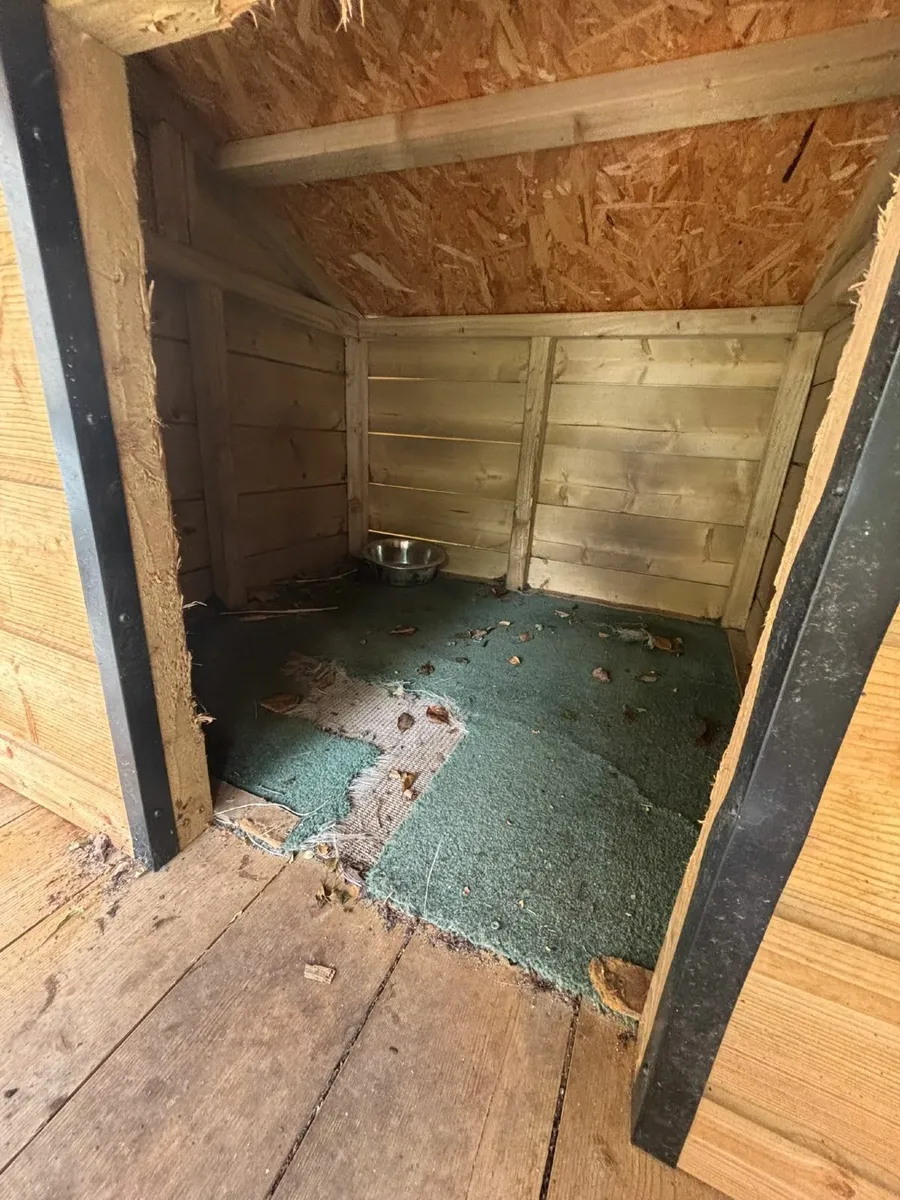 dog house - Image 1