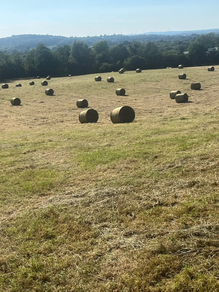 hay bales - Image 1