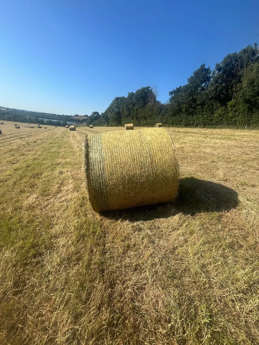 hay bales - Image 2