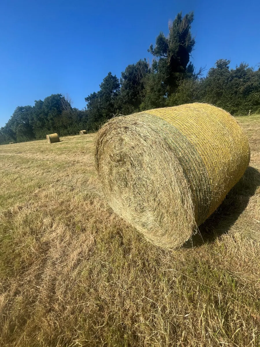 hay bales - Image 3