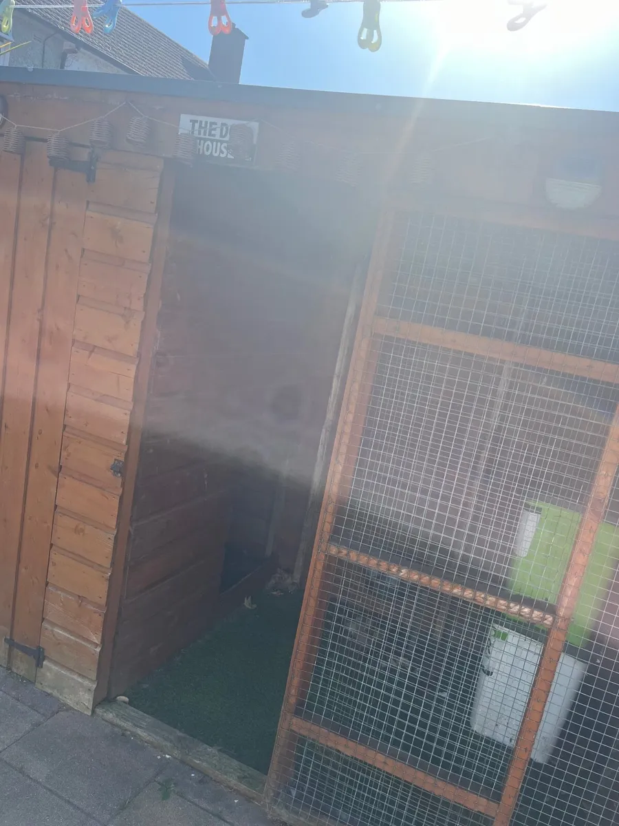 Kennel - Image 2