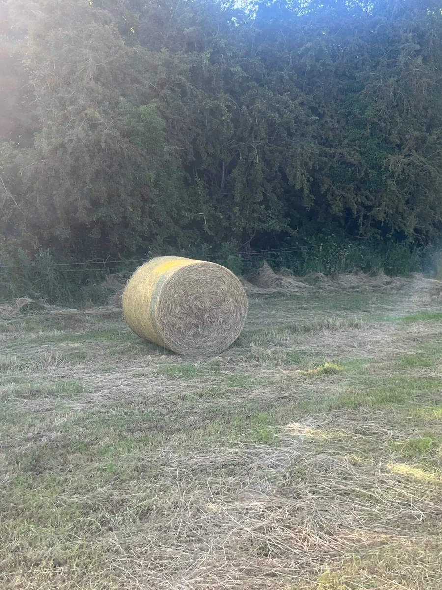 hay bales - Image 1