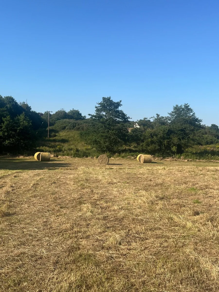 hay bales - Image 2
