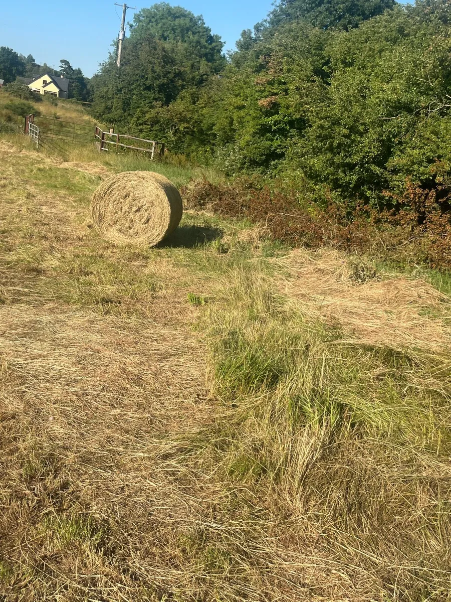 hay bales - Image 3