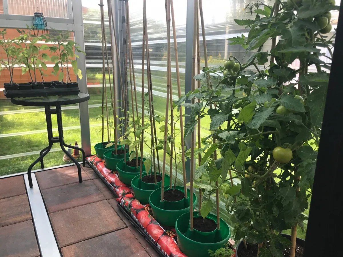 Green house - Image 4