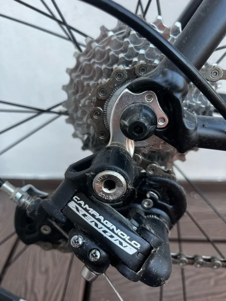 Olmo Veloce Zerocinque bike - Image 2