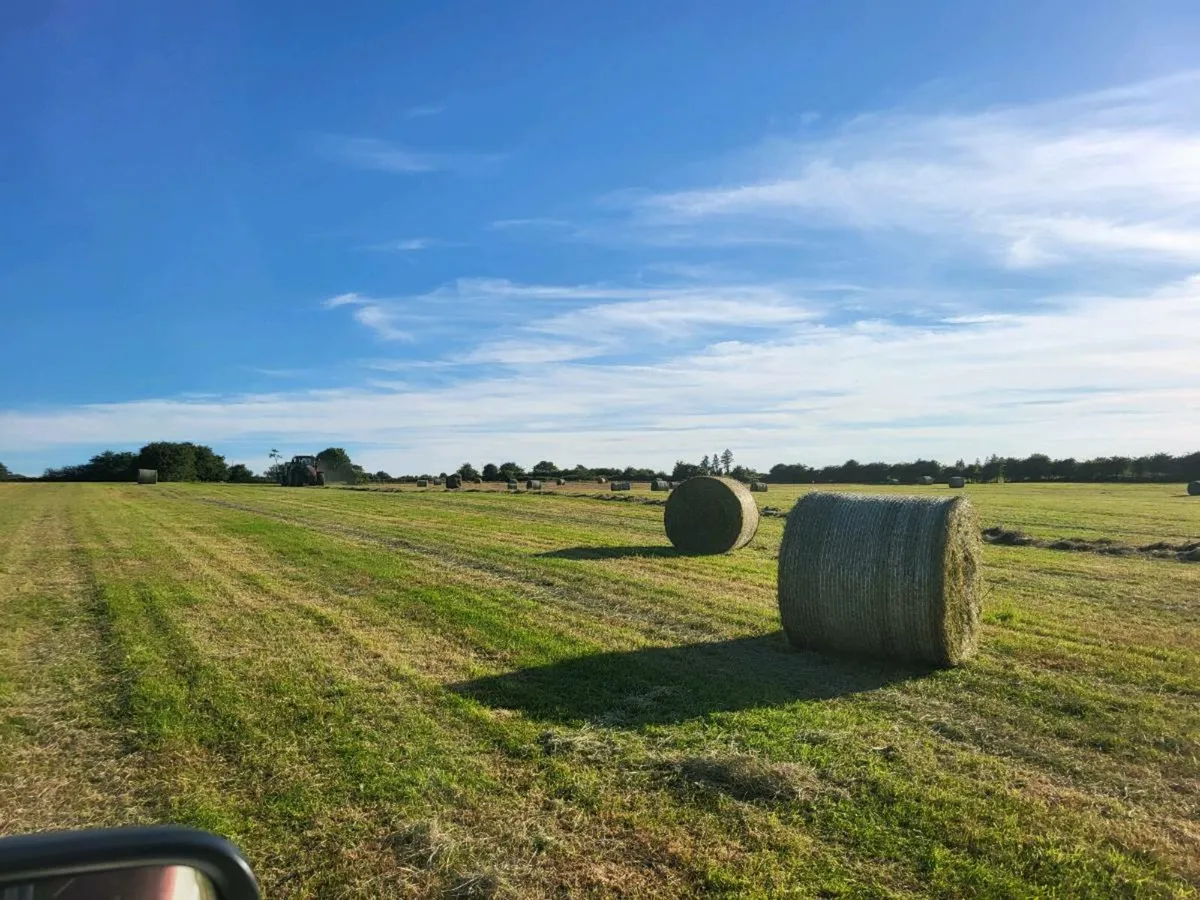 Hay
