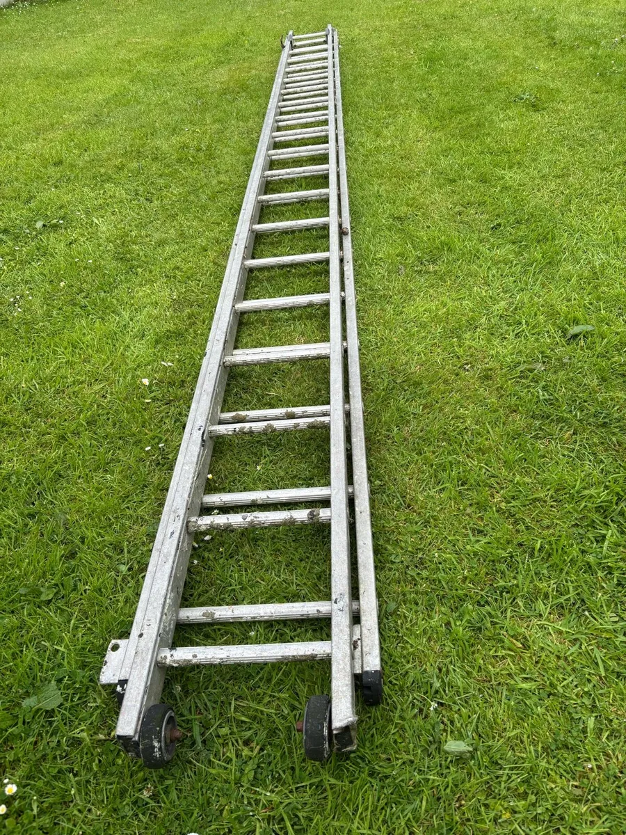 Ladder - Image 1