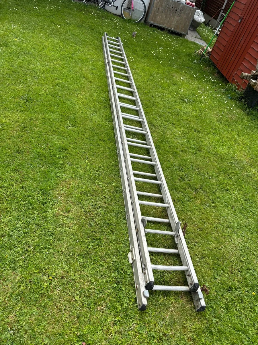 Ladder - Image 2