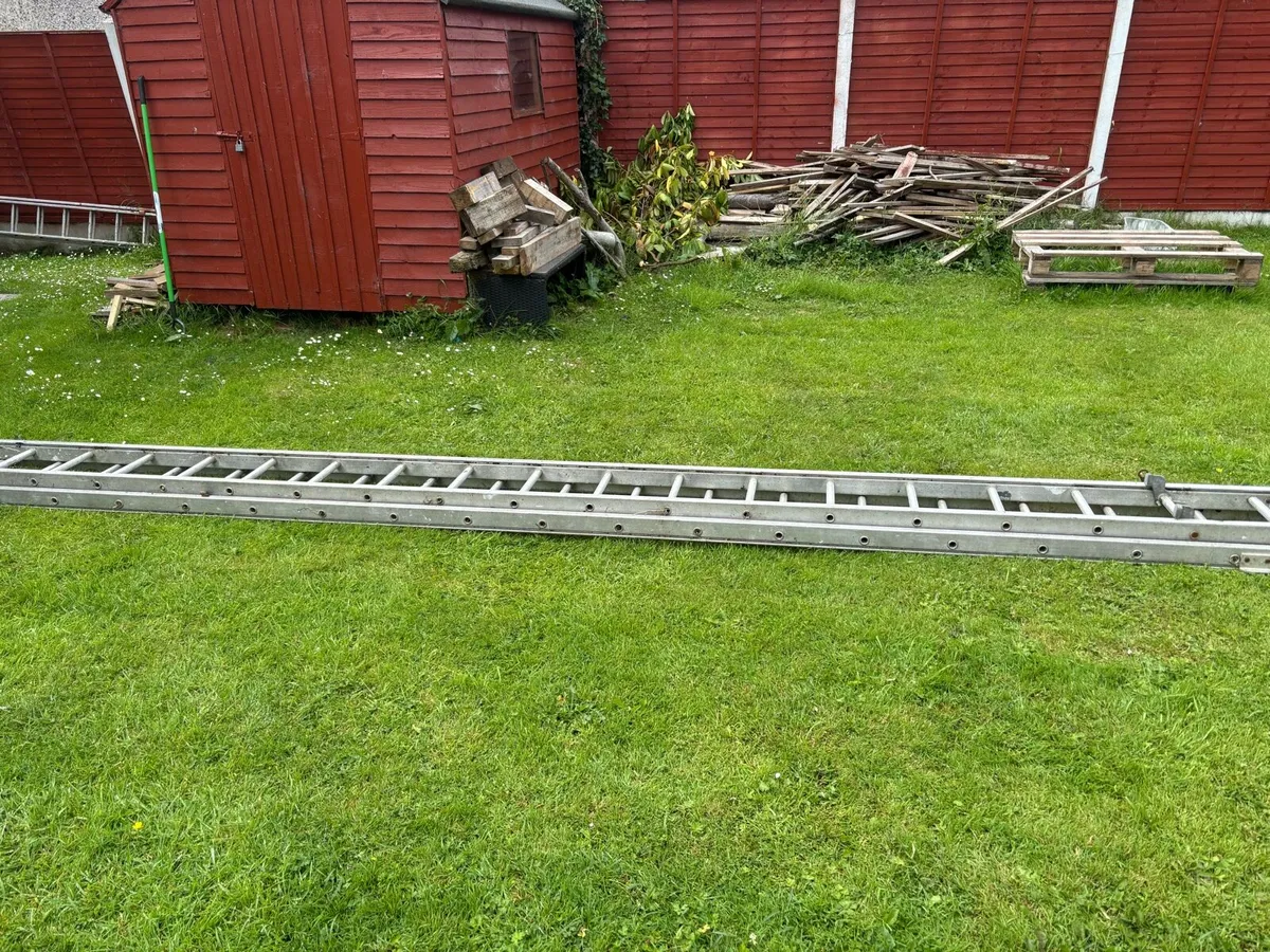 Ladder - Image 3
