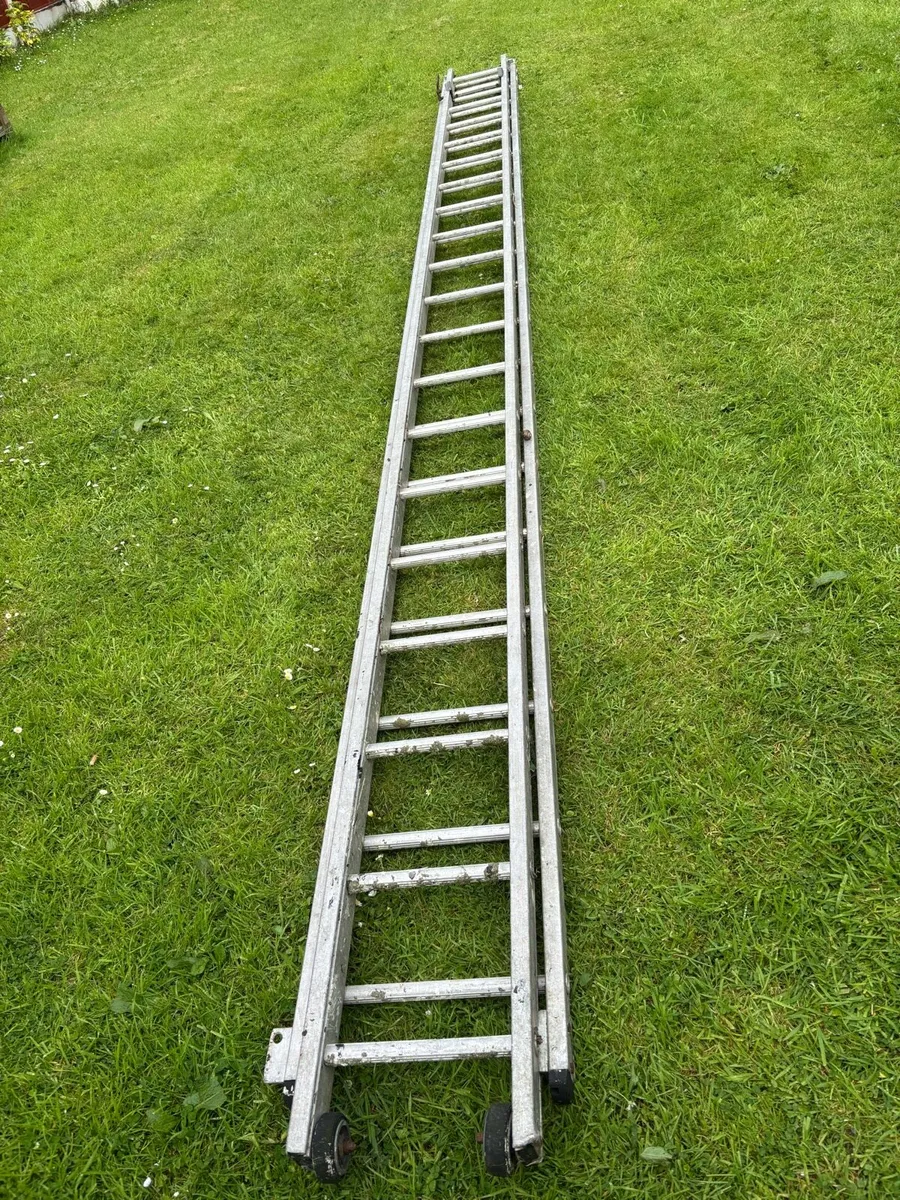 Ladder - Image 4