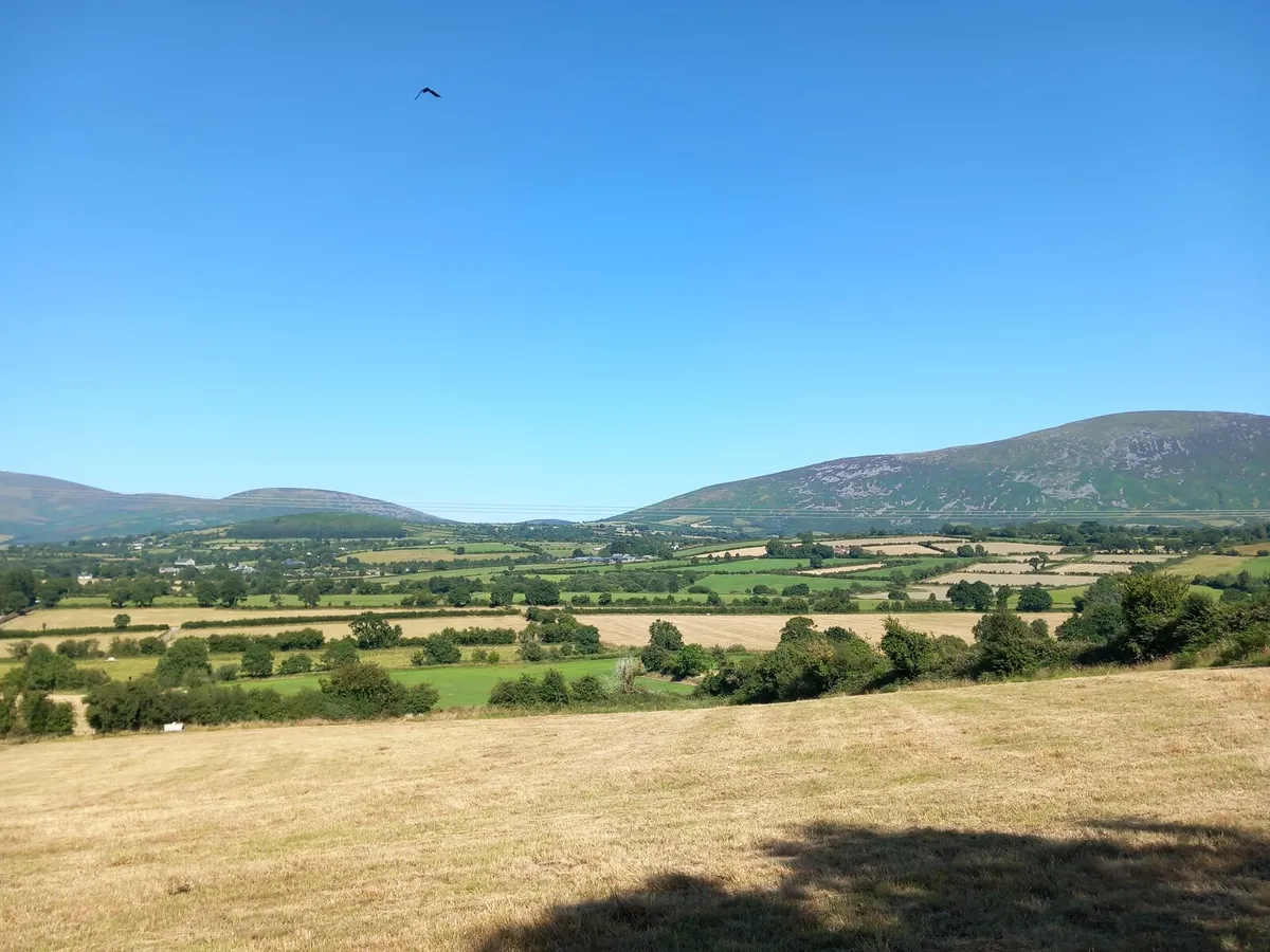 Farmland available for crop of silage/ zero graze