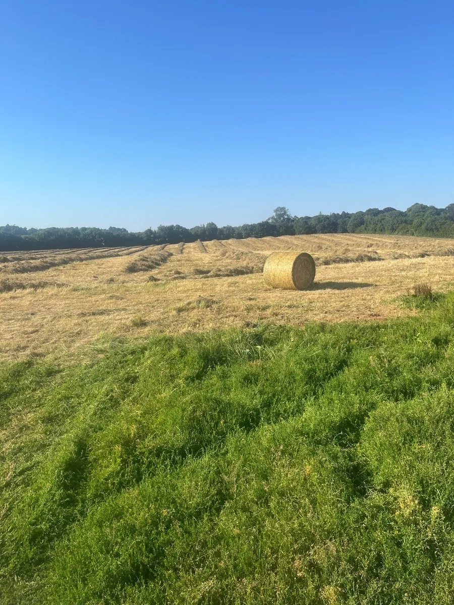 hay bales - Image 3