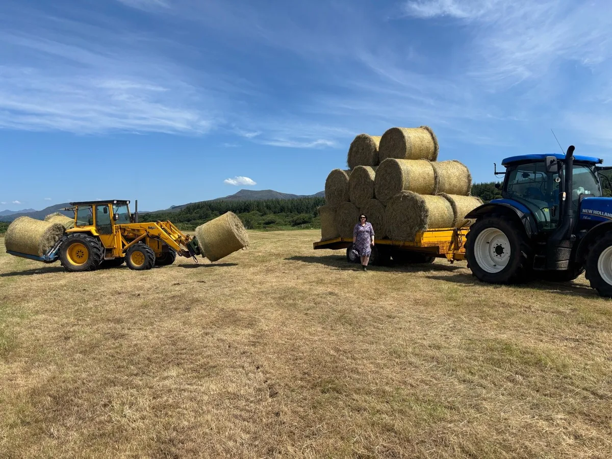 Small Square Bales  and Round Bales - Image 1