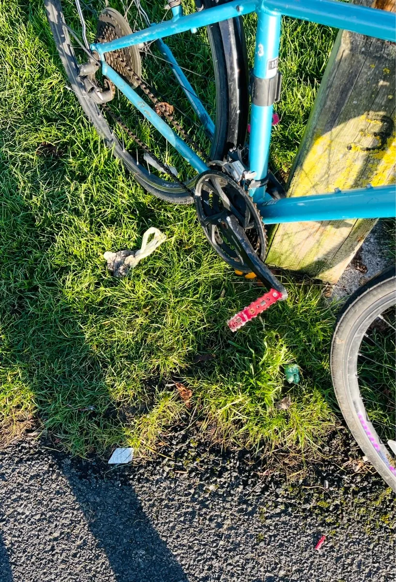 Trek Hybrid Bike - Image 2