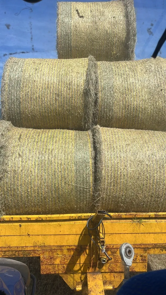 Small Square Bales  and Round Bales - Image 2