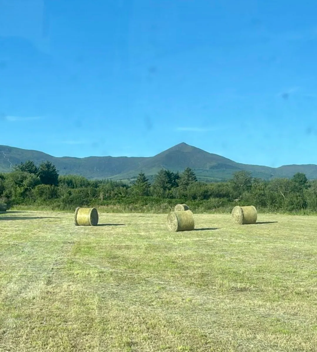 Small Square Bales  and Round Bales - Image 3