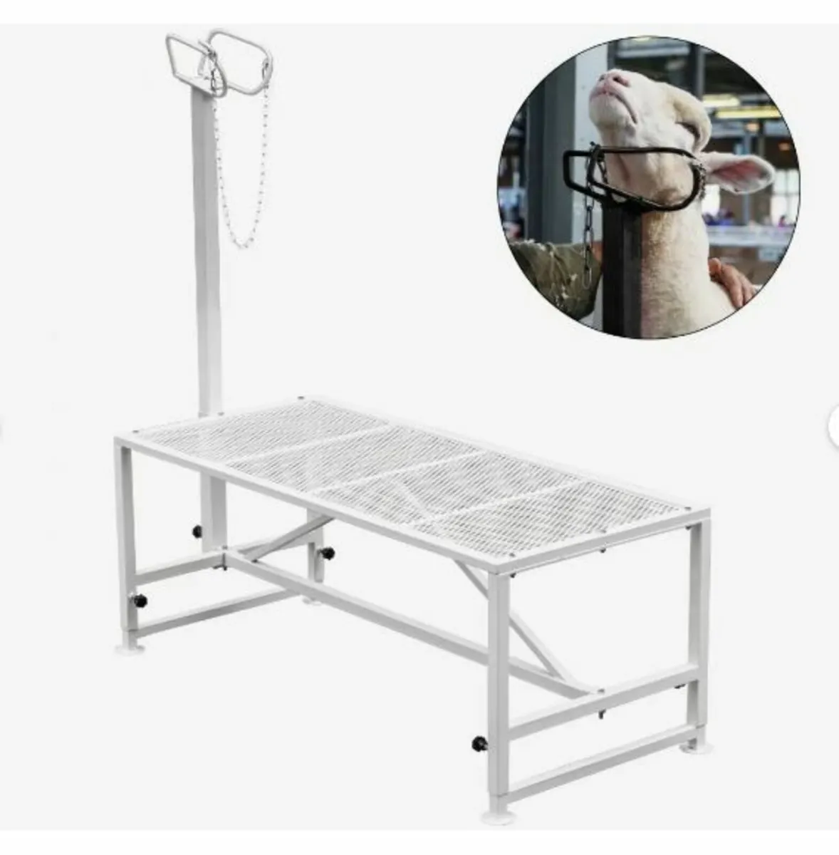 Livestock Stand 51x23 inches, Trimming Stand - Image 1