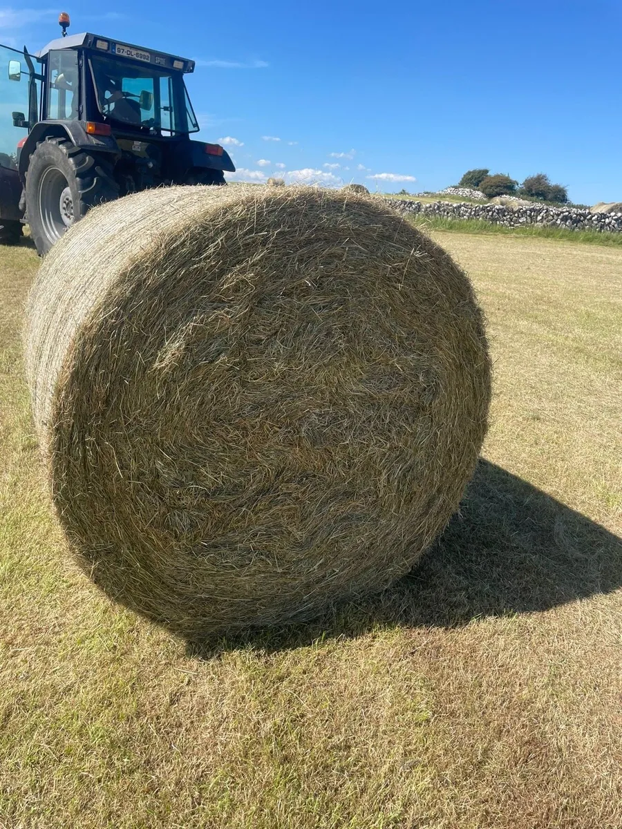Organic Hay - Image 1