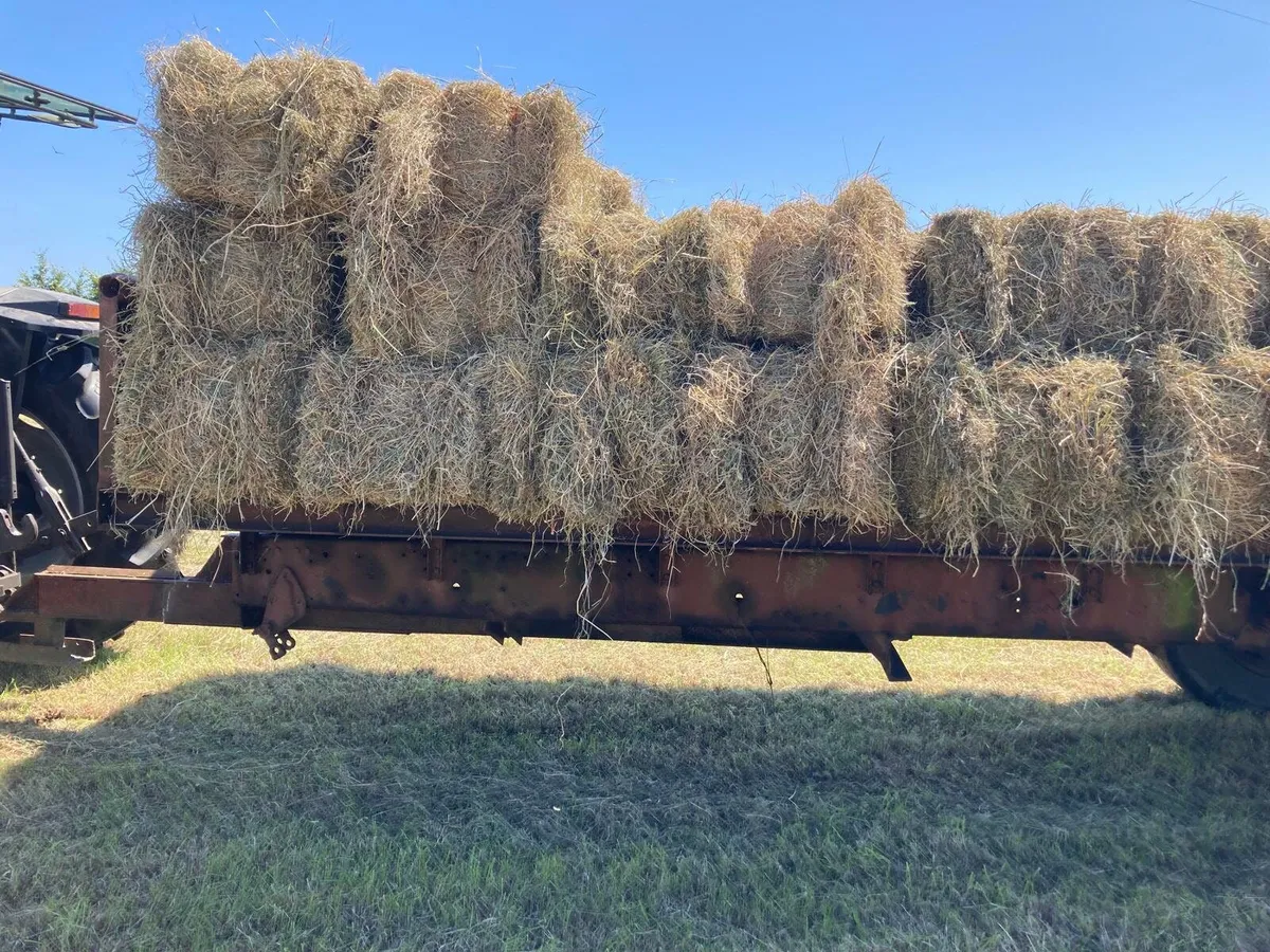 Hay - Image 3