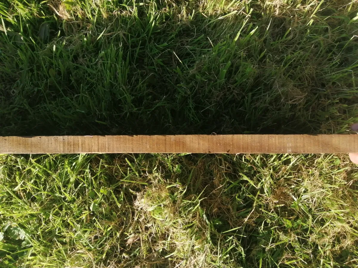 Teak boards - Image 3