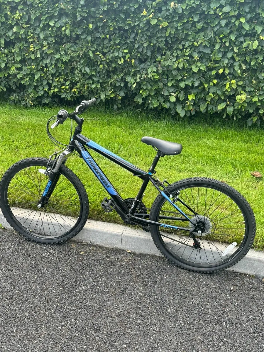 mountain bike - Image 1