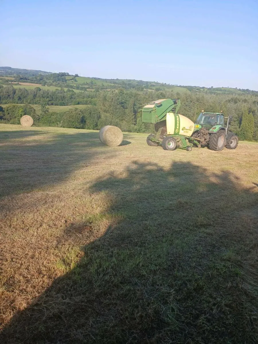 hay for sale - Image 2