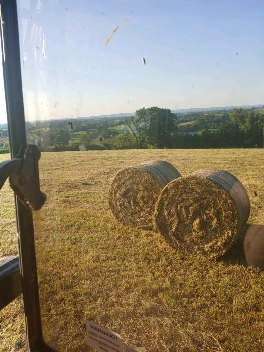 hay for sale - Image 3