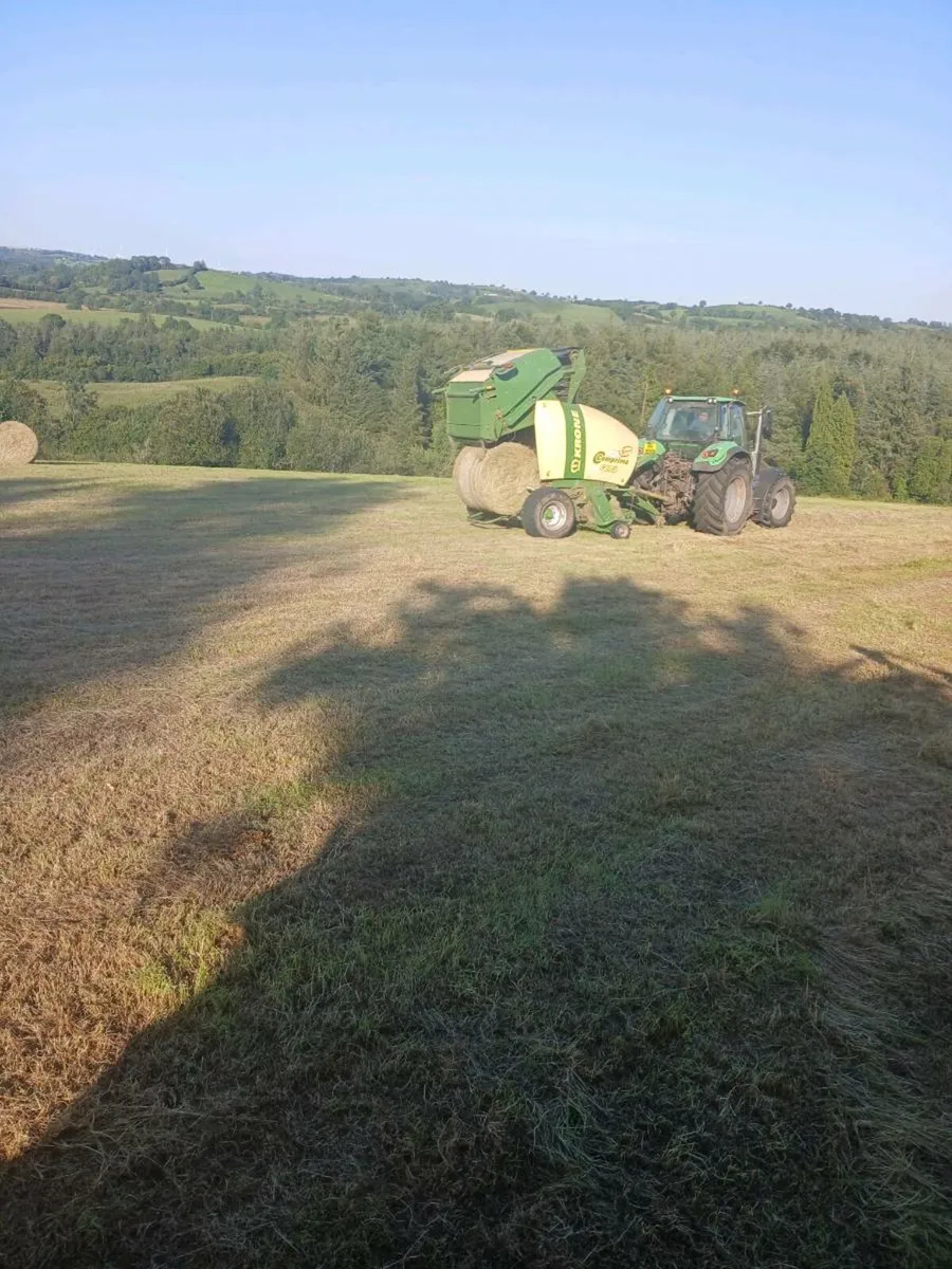 hay for sale - Image 1