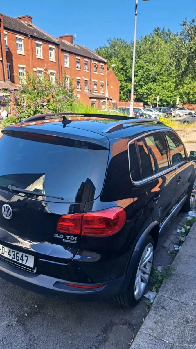 Tiguan - Image 1