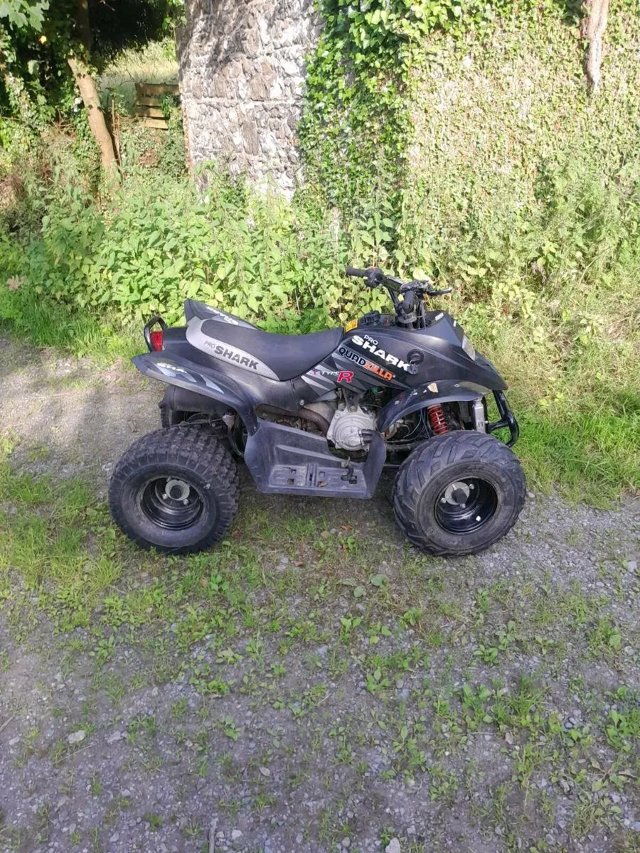 Quadzilla proshark quad bike - Image 1