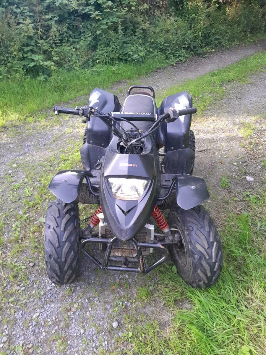 Quadzilla proshark quad bike - Image 2
