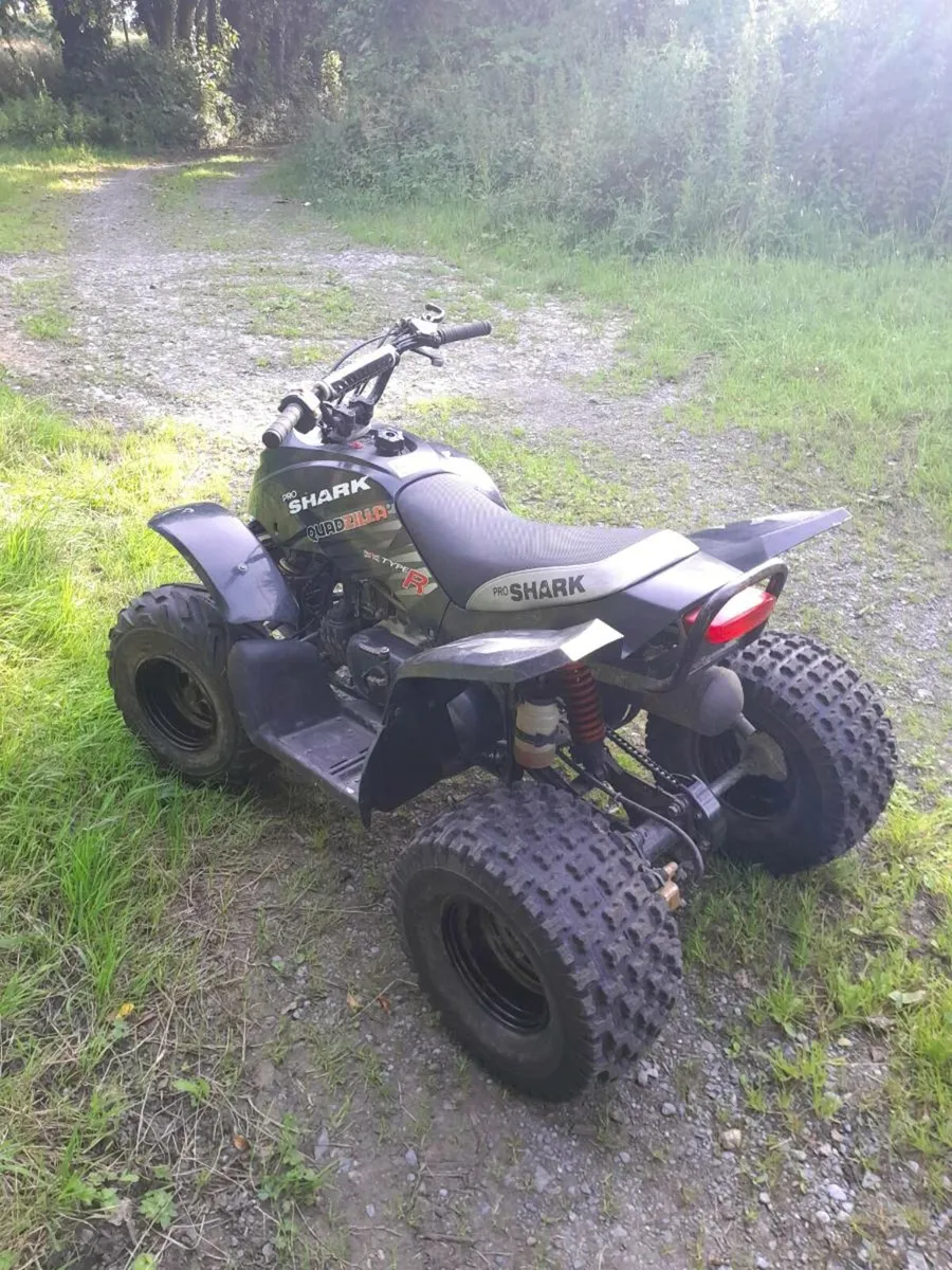 Quadzilla proshark quad bike - Image 3